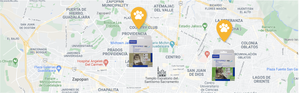 Encuentra el producto en la clínica veterinaria más cercana